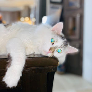 Meet your Posher, Katlen